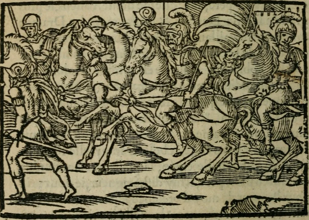 An illustration from Premier livre d'Amadis de Gaule;, 1560, leaf 317