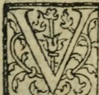 An illustration from Premier livre d'Amadis de Gaule;, 1560, leaf 324