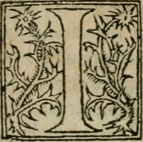 An illustration from Premier livre d'Amadis de Gaule;, 1560, leaf 379