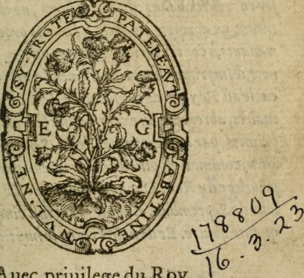 An illustration from Premier livre d'Amadis de Gaule;, 1560, leaf 4