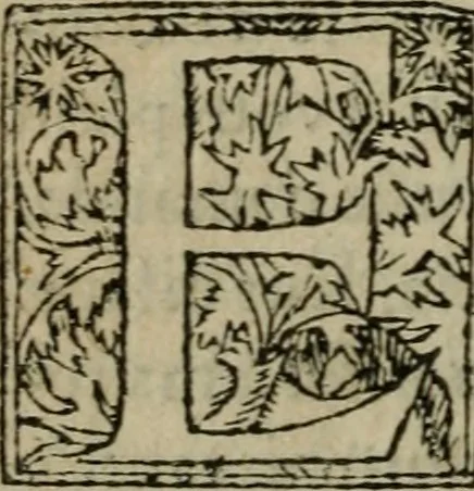 An illustration from Premier livre d'Amadis de Gaule;, 1560, leaf 413