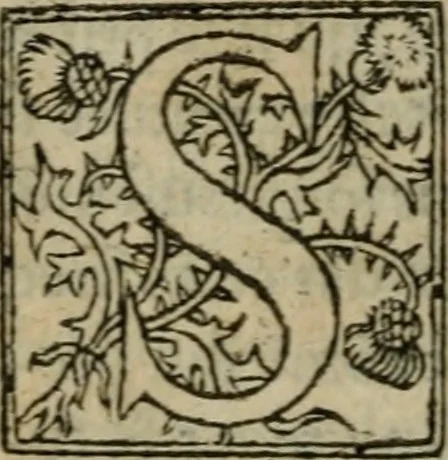 An illustration from Premier livre d'Amadis de Gaule;, 1560, leaf 43