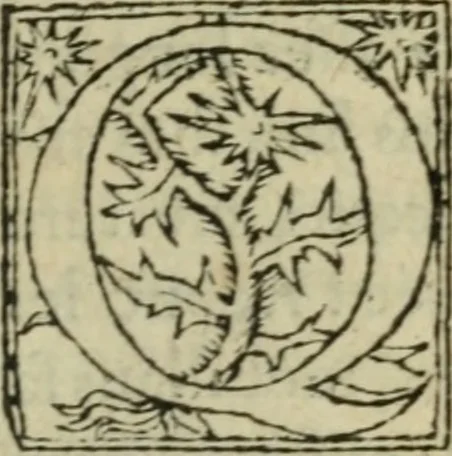 An illustration from Premier livre d'Amadis de Gaule;, 1560, leaf 430