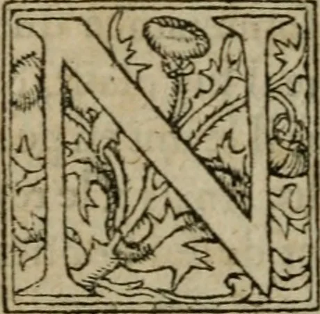 An illustration from Premier livre d'Amadis de Gaule;, 1560, leaf 443