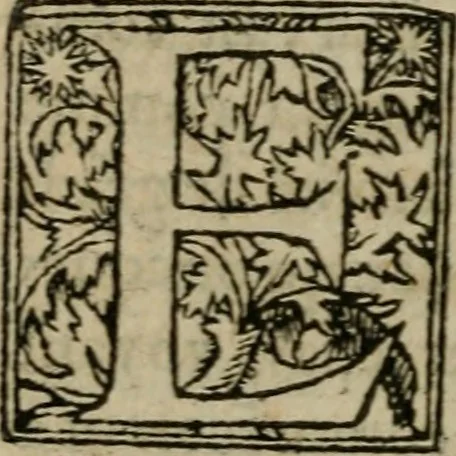 An illustration from Premier livre d'Amadis de Gaule;, 1560, leaf 459