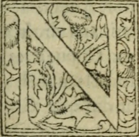 An illustration from Premier livre d'Amadis de Gaule;, 1560, leaf 476