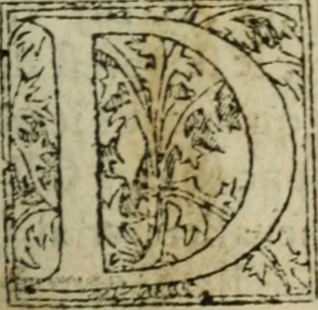 An illustration from Premier livre d'Amadis de Gaule;, 1560, leaf 486