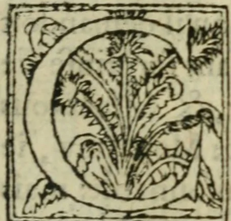 An illustration from Premier livre d'Amadis de Gaule;, 1560, leaf 494