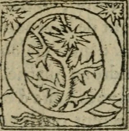 An illustration from Premier livre d'Amadis de Gaule;, 1560, leaf 505