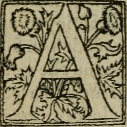 An illustration from Premier livre d'Amadis de Gaule;, 1560, leaf 519