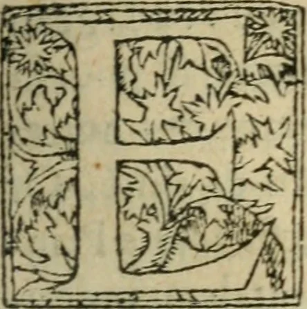 An illustration from Premier livre d'Amadis de Gaule;, 1560, leaf 66