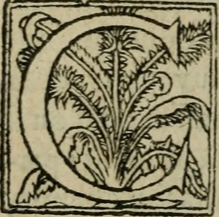 An illustration from Premier livre d'Amadis de Gaule;, 1560, leaf 83