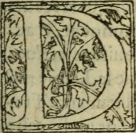 An illustration from Premier livre d'Amadis de Gaule;, 1560, leaf 96