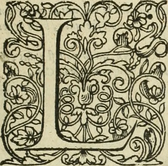 An illustration from Premier livre de l'histoire de la navigation aux Indes Orientales, par les hollandois, et des choses a eux advenues : ensemble les conditions, les meurs, & manieres de vivres des nations, par eux abordees : plus les monnoyes, espices, drogues, & marchandises, & le pris d'icelles : davantage les decouvremens & apparences, situations, & costes maritimes des contrees : avec le vray pourtrait au vif des habitans : le tout par plusieurs figures illustré : tres-recreatif a lire a tous navigans & amateurs des navigations lointaines, ez terres estrangeres, 1609, leaf 10