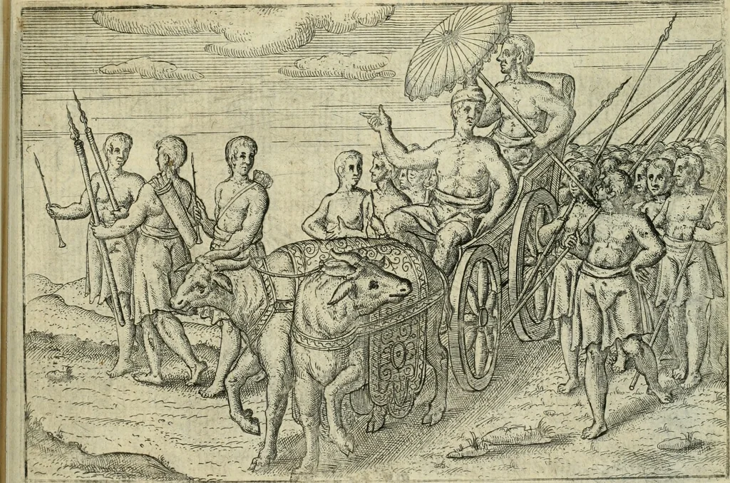 An illustration from Premier livre de l'histoire de la navigation aux Indes Orientales, par les hollandois, et des choses a eux advenues : ensemble les conditions, les meurs, & manieres de vivres des nations, par eux abordees : plus les monnoyes, espices, drogues, & marchandises, & le pris d'icelles : davantage les decouvremens & apparences, situations, & costes maritimes des contrees : avec le vray pourtrait au vif des habitans : le tout par plusieurs figures illustré : tres-recreatif a lire a tous navigans & amateurs des navigations lointaines, ez terres estrangeres, 1609, leaf 104