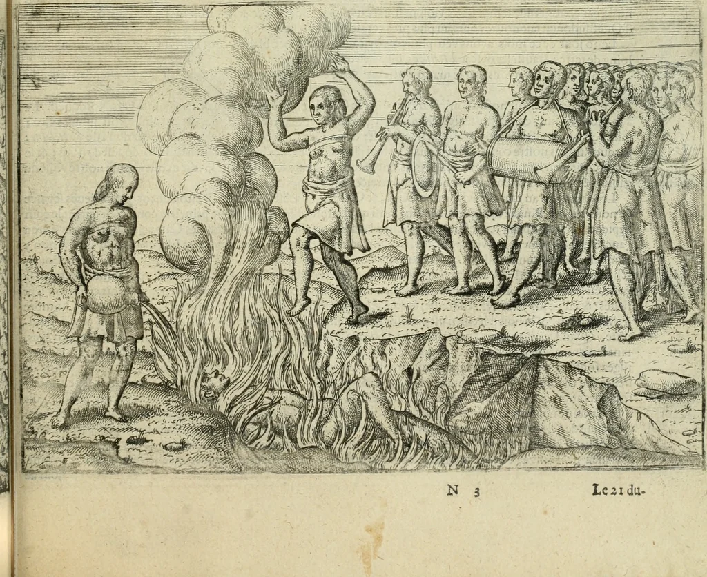 An illustration from Premier livre de l'histoire de la navigation aux Indes Orientales, par les hollandois, et des choses a eux advenues : ensemble les conditions, les meurs, & manieres de vivres des nations, par eux abordees : plus les monnoyes, espices, drogues, & marchandises, & le pris d'icelles : davantage les decouvremens & apparences, situations, & costes maritimes des contrees : avec le vray pourtrait au vif des habitans : le tout par plusieurs figures illustré : tres-recreatif a lire a tous navigans & amateurs des navigations lointaines, ez terres estrangeres, 1609, leaf 106