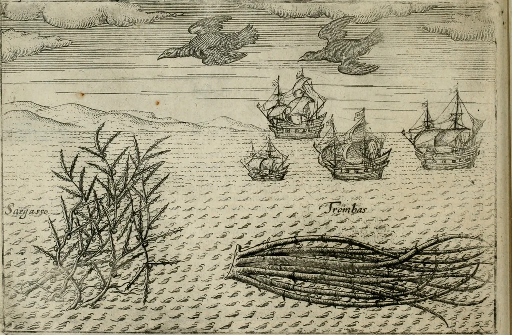 An illustration from Premier livre de l'histoire de la navigation aux Indes Orientales, par les hollandois, et des choses a eux advenues : ensemble les conditions, les meurs, & manieres de vivres des nations, par eux abordees : plus les monnoyes, espices, drogues, & marchandises, & le pris d'icelles : davantage les decouvremens & apparences, situations, & costes maritimes des contrees : avec le vray pourtrait au vif des habitans : le tout par plusieurs figures illustré : tres-recreatif a lire a tous navigans & amateurs des navigations lointaines, ez terres estrangeres, 1609, leaf 109