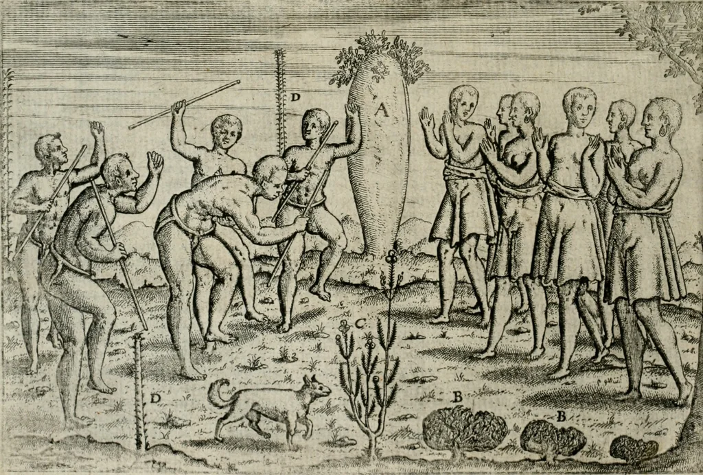 An illustration from Premier livre de l'histoire de la navigation aux Indes Orientales, par les hollandois, et des choses a eux advenues : ensemble les conditions, les meurs, & manieres de vivres des nations, par eux abordees : plus les monnoyes, espices, drogues, & marchandises, & le pris d'icelles : davantage les decouvremens & apparences, situations, & costes maritimes des contrees : avec le vray pourtrait au vif des habitans : le tout par plusieurs figures illustré : tres-recreatif a lire a tous navigans & amateurs des navigations lointaines, ez terres estrangeres, 1609, leaf 21
