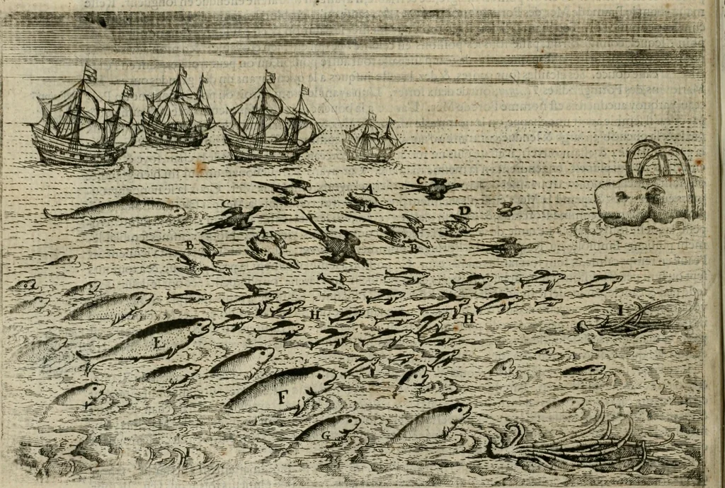 An illustration from Premier livre de l'histoire de la navigation aux Indes Orientales, par les hollandois, et des choses a eux advenues : ensemble les conditions, les meurs, & manieres de vivres des nations, par eux abordees : plus les monnoyes, espices, drogues, & marchandises, & le pris d'icelles : davantage les decouvremens & apparences, situations, & costes maritimes des contrees : avec le vray pourtrait au vif des habitans : le tout par plusieurs figures illustré : tres-recreatif a lire a tous navigans & amateurs des navigations lointaines, ez terres estrangeres, 1609, leaf 35