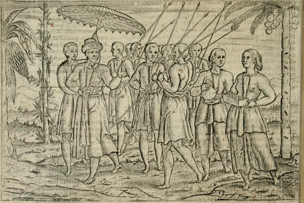 An illustration from Premier livre de l'histoire de la navigation aux Indes Orientales, par les hollandois, et des choses a eux advenues : ensemble les conditions, les meurs, & manieres de vivres des nations, par eux abordees : plus les monnoyes, espices, drogues, & marchandises, & le pris d'icelles : davantage les decouvremens & apparences, situations, & costes maritimes des contrees : avec le vray pourtrait au vif des habitans : le tout par plusieurs figures illustré : tres-recreatif a lire a tous navigans & amateurs des navigations lointaines, ez terres estrangeres, 1609, leaf 41