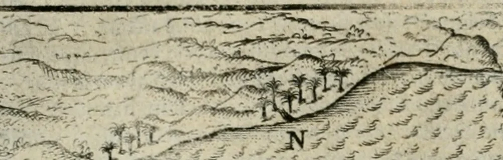 An illustration from Premier livre de l'histoire de la navigation aux Indes Orientales, par les hollandois, et des choses a eux advenues : ensemble les conditions, les meurs, & manieres de vivres des nations, par eux abordees : plus les monnoyes, espices, drogues, & marchandises, & le pris d'icelles : davantage les decouvremens & apparences, situations, & costes maritimes des contrees : avec le vray pourtrait au vif des habitans : le tout par plusieurs figures illustré : tres-recreatif a lire a tous navigans & amateurs des navigations lointaines, ez terres estrangeres, 1609, leaf 47