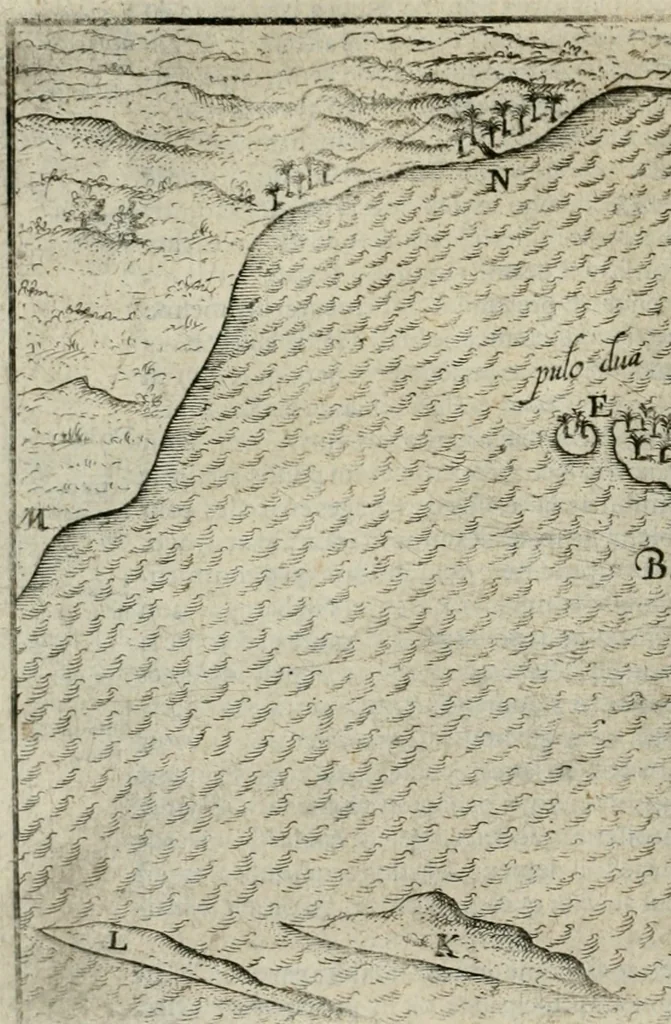 An illustration from Premier livre de l'histoire de la navigation aux Indes Orientales, par les hollandois, et des choses a eux advenues : ensemble les conditions, les meurs, & manieres de vivres des nations, par eux abordees : plus les monnoyes, espices, drogues, & marchandises, & le pris d'icelles : davantage les decouvremens & apparences, situations, & costes maritimes des contrees : avec le vray pourtrait au vif des habitans : le tout par plusieurs figures illustré : tres-recreatif a lire a tous navigans & amateurs des navigations lointaines, ez terres estrangeres, 1609, leaf 47