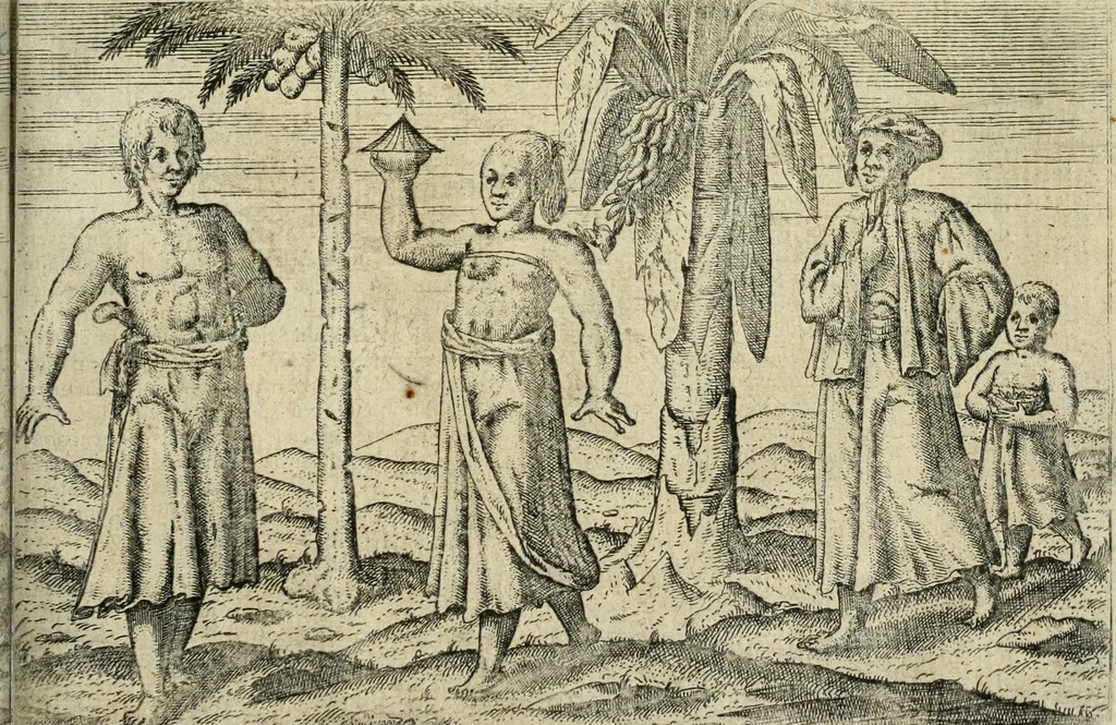 An illustration from Premier livre de l'histoire de la navigation aux Indes Orientales, par les hollandois, et des choses a eux advenues : ensemble les conditions, les meurs, & manieres de vivres des nations, par eux abordees : plus les monnoyes, espices, drogues, & marchandises, & le pris d'icelles : davantage les decouvremens & apparences, situations, & costes maritimes des contrees : avec le vray pourtrait au vif des habitans : le tout par plusieurs figures illustré : tres-recreatif a lire a tous navigans & amateurs des navigations lointaines, ez terres estrangeres, 1609, leaf 62