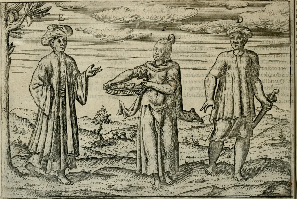 An illustration from Premier livre de l'histoire de la navigation aux Indes Orientales, par les hollandois, et des choses a eux advenues : ensemble les conditions, les meurs, & manieres de vivres des nations, par eux abordees : plus les monnoyes, espices, drogues, & marchandises, & le pris d'icelles : davantage les decouvremens & apparences, situations, & costes maritimes des contrees : avec le vray pourtrait au vif des habitans : le tout par plusieurs figures illustré : tres-recreatif a lire a tous navigans & amateurs des navigations lointaines, ez terres estrangeres, 1609, leaf 65