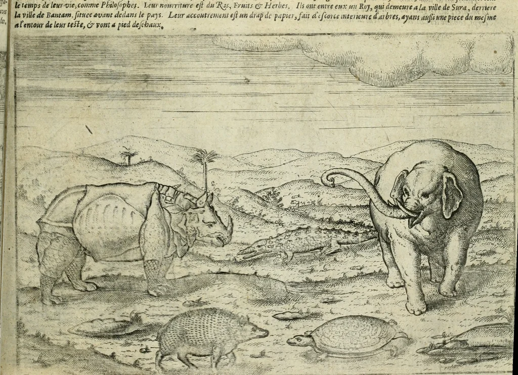 An illustration from Premier livre de l'histoire de la navigation aux Indes Orientales, par les hollandois, et des choses a eux advenues : ensemble les conditions, les meurs, & manieres de vivres des nations, par eux abordees : plus les monnoyes, espices, drogues, & marchandises, & le pris d'icelles : davantage les decouvremens & apparences, situations, & costes maritimes des contrees : avec le vray pourtrait au vif des habitans : le tout par plusieurs figures illustré : tres-recreatif a lire a tous navigans & amateurs des navigations lointaines, ez terres estrangeres, 1609, leaf 70