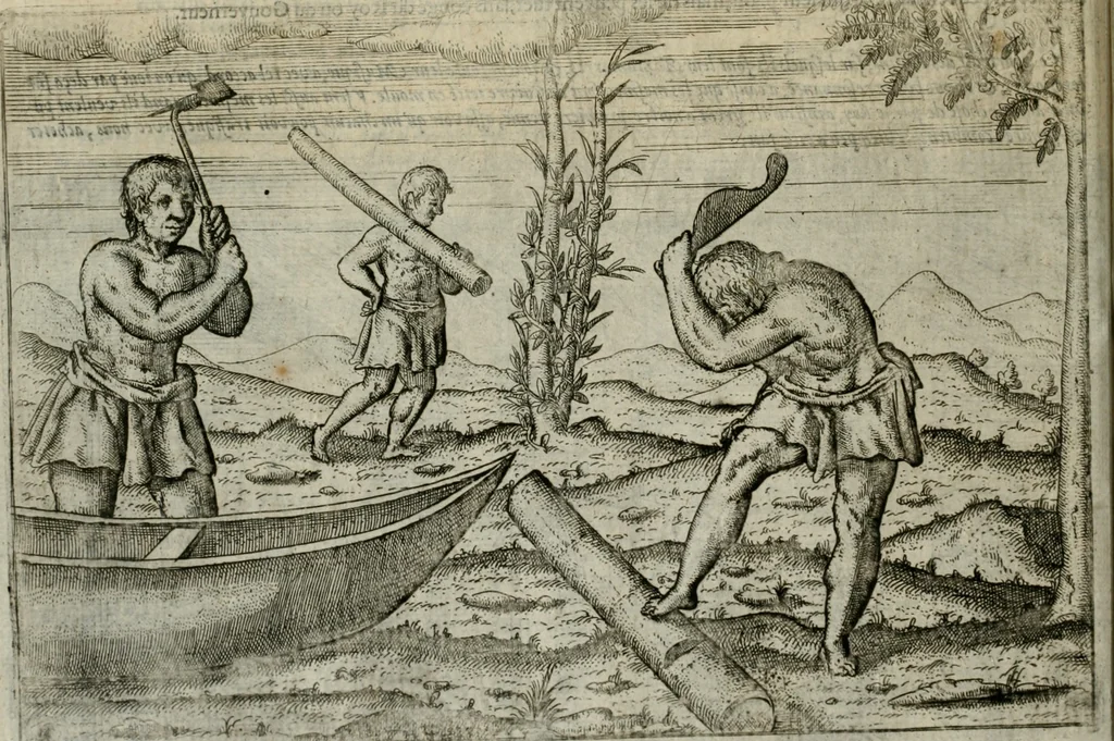 An illustration from Premier livre de l'histoire de la navigation aux Indes Orientales, par les hollandois, et des choses a eux advenues : ensemble les conditions, les meurs, & manieres de vivres des nations, par eux abordees : plus les monnoyes, espices, drogues, & marchandises, & le pris d'icelles : davantage les decouvremens & apparences, situations, & costes maritimes des contrees : avec le vray pourtrait au vif des habitans : le tout par plusieurs figures illustré : tres-recreatif a lire a tous navigans & amateurs des navigations lointaines, ez terres estrangeres, 1609, leaf 73