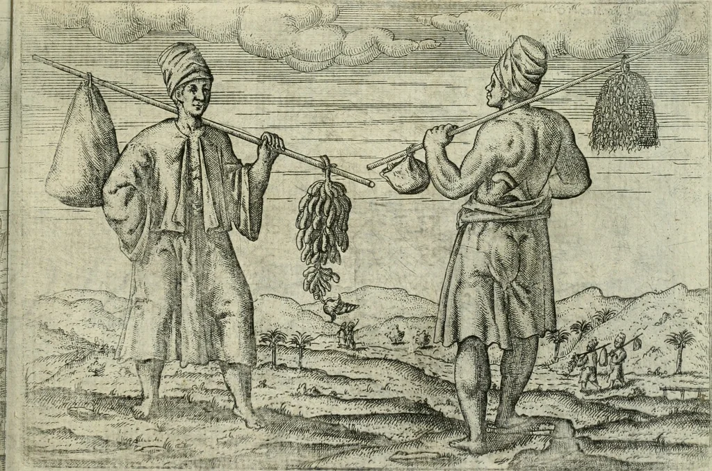 An illustration from Premier livre de l'histoire de la navigation aux Indes Orientales, par les hollandois, et des choses a eux advenues : ensemble les conditions, les meurs, & manieres de vivres des nations, par eux abordees : plus les monnoyes, espices, drogues, & marchandises, & le pris d'icelles : davantage les decouvremens & apparences, situations, & costes maritimes des contrees : avec le vray pourtrait au vif des habitans : le tout par plusieurs figures illustré : tres-recreatif a lire a tous navigans & amateurs des navigations lointaines, ez terres estrangeres, 1609, leaf 76
