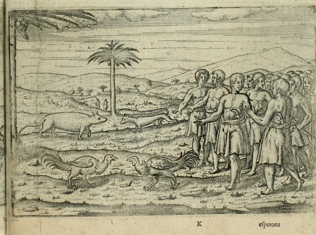 An illustration from Premier livre de l'histoire de la navigation aux Indes Orientales, par les hollandois, et des choses a eux advenues : ensemble les conditions, les meurs, & manieres de vivres des nations, par eux abordees : plus les monnoyes, espices, drogues, & marchandises, & le pris d'icelles : davantage les decouvremens & apparences, situations, & costes maritimes des contrees : avec le vray pourtrait au vif des habitans : le tout par plusieurs figures illustré : tres-recreatif a lire a tous navigans & amateurs des navigations lointaines, ez terres estrangeres, 1609, leaf 78