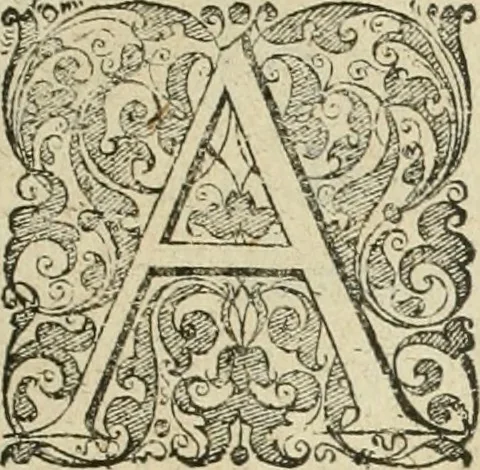 An illustration from Premier livre de l'histoire de la navigation aux Indes Orientales, par les hollandois, et des choses a eux advenues : ensemble les conditions, les meurs, & manieres de vivres des nations, par eux abordees : plus les monnoyes, espices, drogues, & marchandises, & le pris d'icelles : davantage les decouvremens & apparences, situations, & costes maritimes des contrees : avec le vray pourtrait au vif des habitans : le tout par plusieurs figures illustré : tres-recreatif a lire a tous navigans & amateurs des navigations lointaines, ez terres estrangeres, 1609, leaf 8