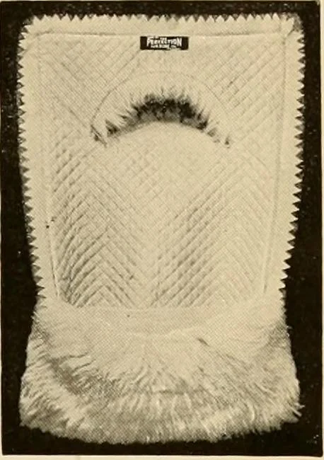 An illustration from Premium catalog., 1914, leaf 30