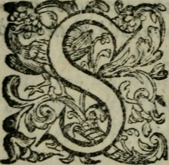 An illustration from Prencipi Christiani, 1601, leaf 161