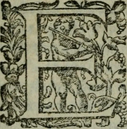 An illustration from Prencipi Christiani, 1601, leaf 211