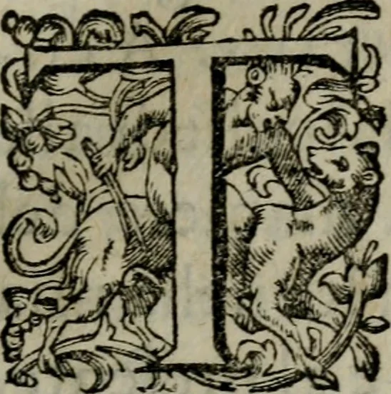 An illustration from Prencipi Christiani, 1601, leaf 6