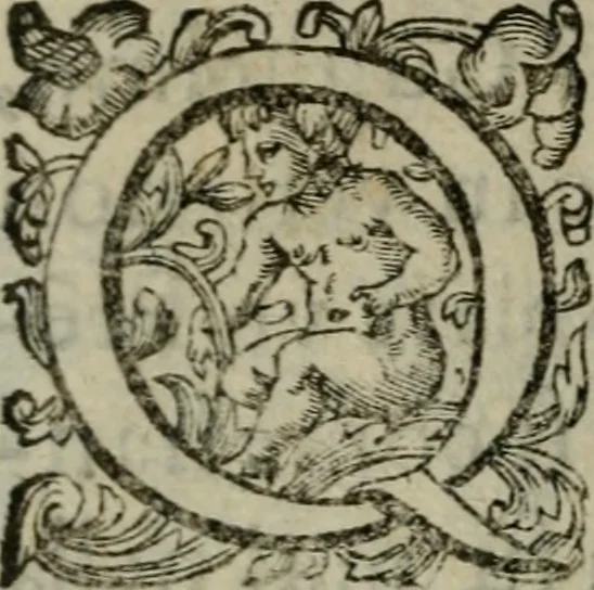 An illustration from Prencipi Christiani, 1601, leaf 553