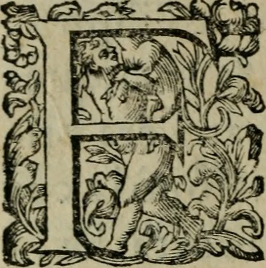 An illustration from Prencipi Christiani, 1601, leaf 567