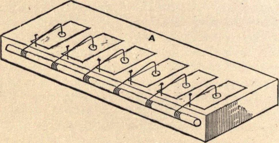 An illustration from The preparation and mounting of microscopic objects, 1874, leaf 51