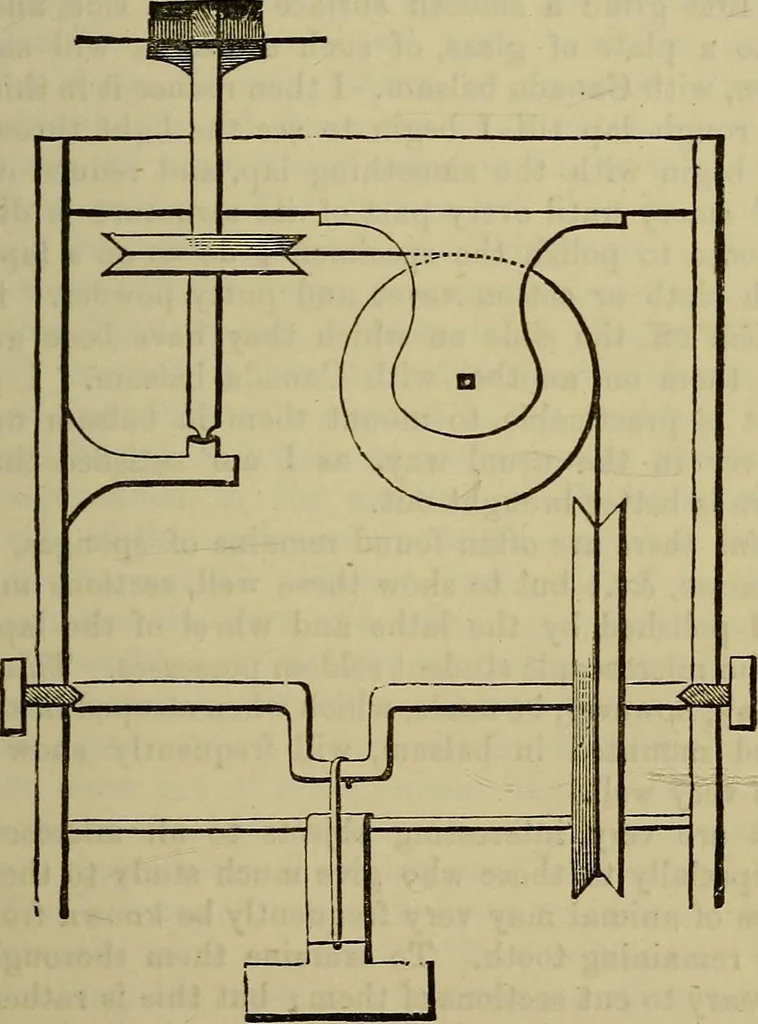An illustration from The preparation & mounting of microscopic objects, 1896, leaf 156