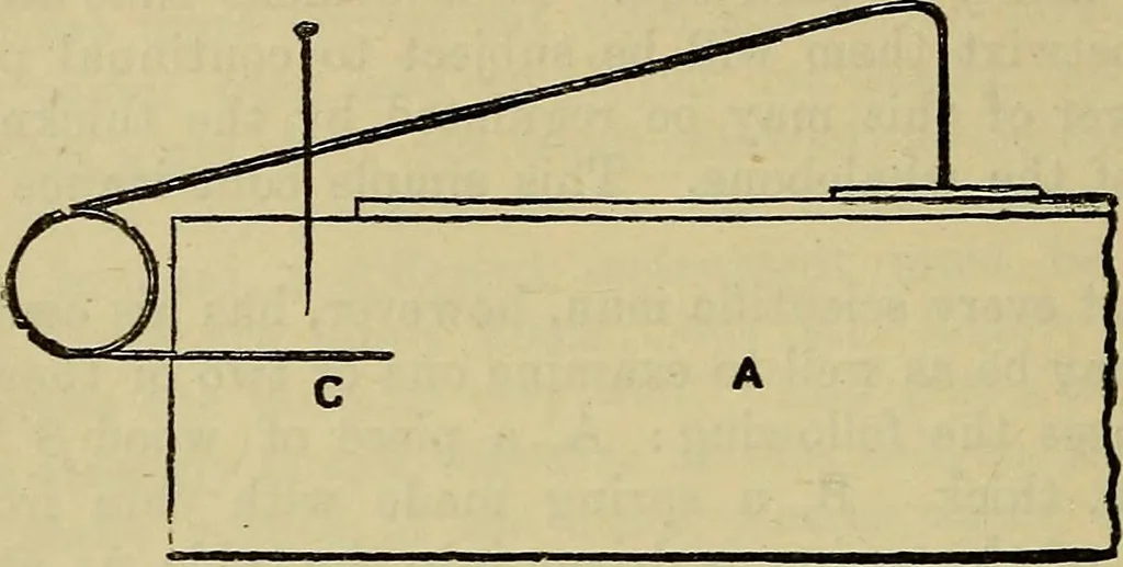 An illustration from The preparation & mounting of microscopic objects, 1896, leaf 51