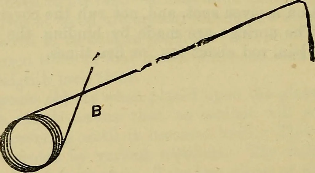 An illustration from The preparation & mounting of microscopic objects, 1896, leaf 51