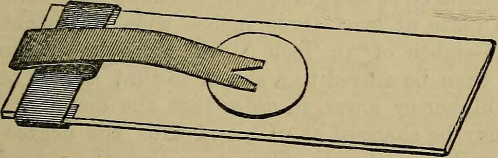 An illustration from The preparation & mounting of microscopic objects, 1896, leaf 52
