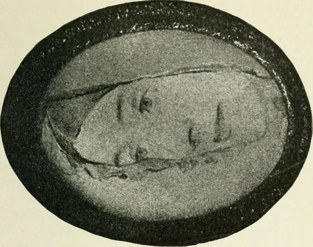 An illustration from Pre-Raphaelitism and the pre-Raphaelite brotherhood, 1905, leaf 368