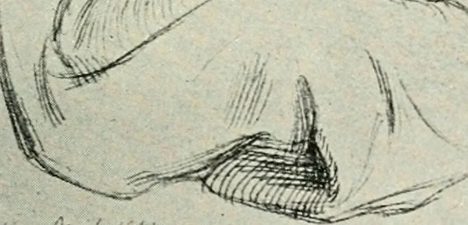 An illustration from Pre-Raphaelitism and the pre-Raphaelite brotherhood, 1905, leaf 450