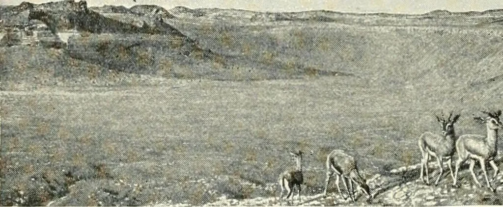 An illustration from Pre-Raphaelitism and the pre-Raphaelite brotherhood, 1905, leaf 453