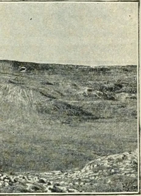 An illustration from Pre-Raphaelitism and the pre-Raphaelite brotherhood, 1905, leaf 453