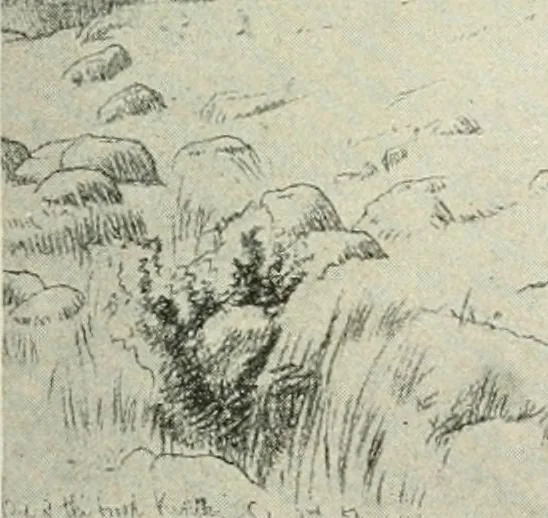 An illustration from Pre-Raphaelitism and the pre-Raphaelite brotherhood, 1905, leaf 494