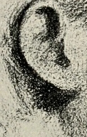 An illustration from Pre-Raphaelitism and the pre-Raphaelite brotherhood, 1905, leaf 156